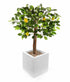 Artificial 3ft 3" Lemon Tree
